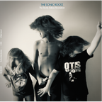 LP - The Sonic Rootz - The Electric Babies Revolution -  Album Vinile